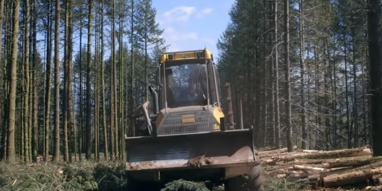 Valréas : projection-débat du film ‘Le temps des forêts’