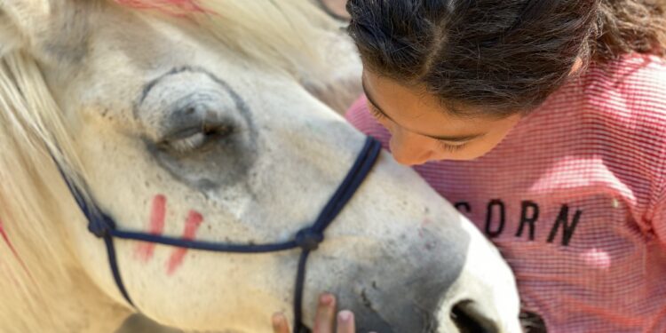 Mazan : initiation à l’équihomologie à la ferme du Lucky Horse