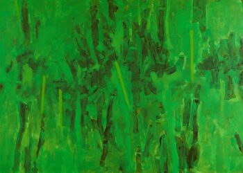 Ménerbes : la Maison Dora Maar se met au vert