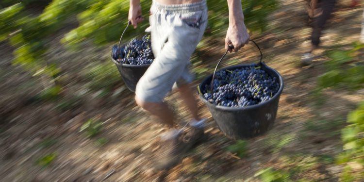 Pôle emploi : le Vaucluse va recruter près de 40 000 emplois en 2022