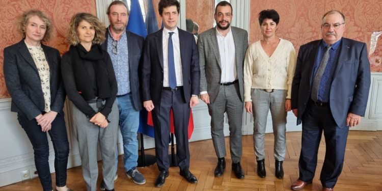 Cerise : l’urgence de la filière face à la drosophile Suzukii