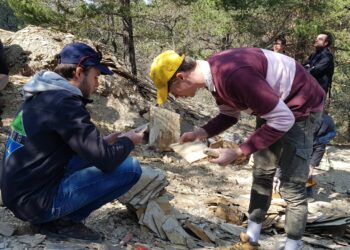 Des fouilles paléontologiques à Caseneuve, Céreste et Sainte-Maime