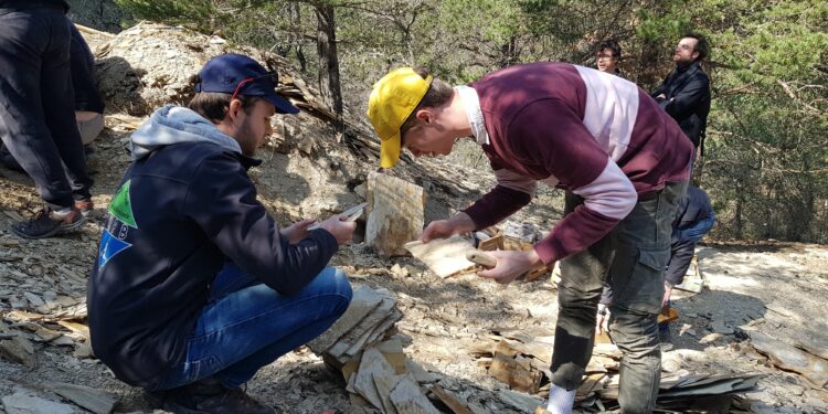 Des fouilles paléontologiques à Caseneuve, Céreste et Sainte-Maime