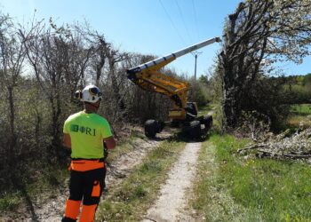 Enedis innove pour élaguer autour de ses lignes électriques