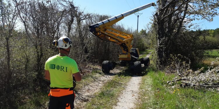 Enedis innove pour élaguer autour de ses lignes électriques