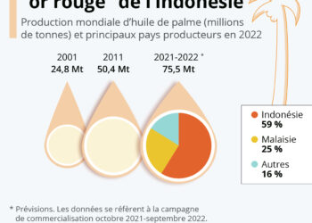 Huile de palme : l’Indonésie assure 60% de la production mondiale