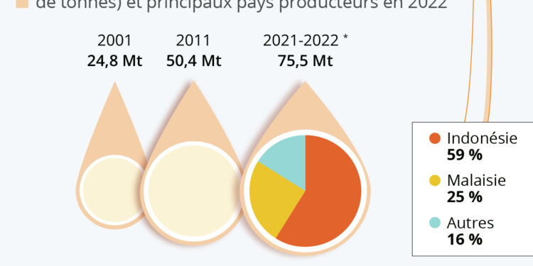 Huile de palme : l’Indonésie assure 60% de la production mondiale