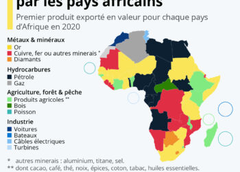 L’Afrique, grand pourvoyeur de matières premières