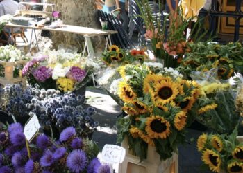 Vaison-la-Romaine : les fleuristes se donnent rendez-vous pour les Fleuralies