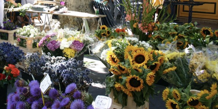 Vaison-la-Romaine : les fleuristes se donnent rendez-vous pour les Fleuralies