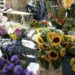Vaison-la-Romaine : les fleuristes se donnent rendez-vous pour les Fleuralies