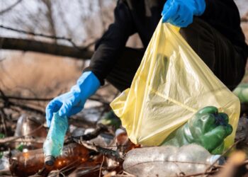 Châteaurenard : une journée pour nettoyer les bords de la Durance