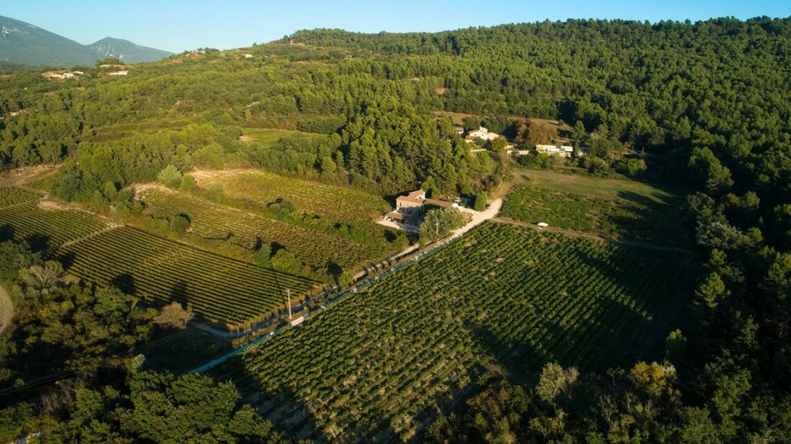 La saison œnotouristique va bientôt démarrer pour le Château Saint Pons