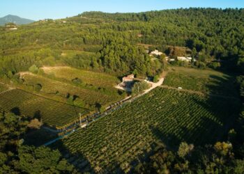La saison œnotouristique va bientôt démarrer pour le Château Saint Pons