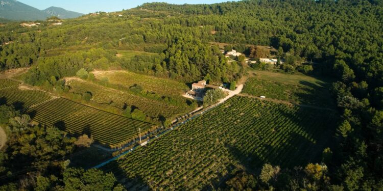 La saison œnotouristique va bientôt démarrer pour le Château Saint Pons