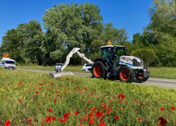 Le Vaucluse opte pour un fauchage ‘raisonné’ des abords de ses routes