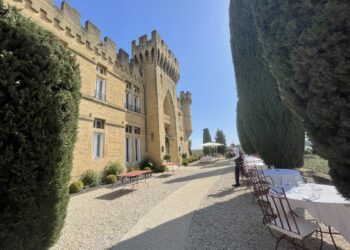 Château des Fines roches, que sont-ils devenus ?
