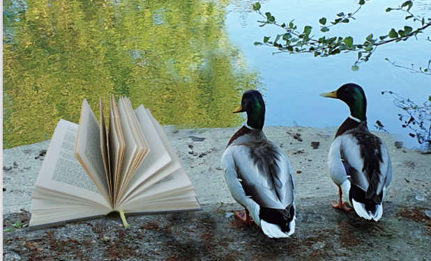 Lire sur la Sorgue, c’est encore tout ce week-end