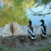 Lire sur la Sorgue, c’est encore tout ce week-end