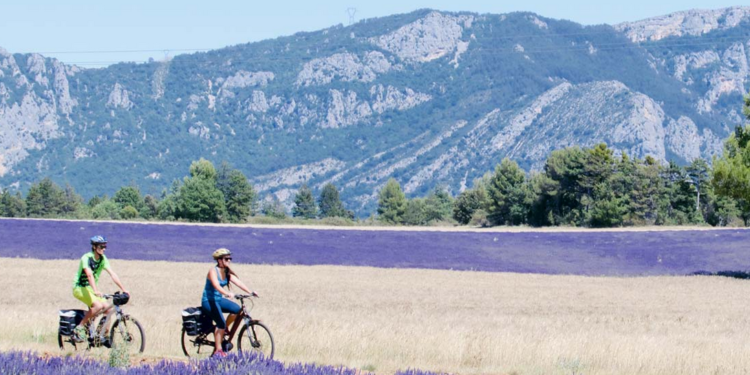 Lucien Stanzione et Marie-Pierre Monier, sénateurs du Vaucluse et de la Drôme : ‘La lavande court un grand danger !’