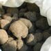 Carpentras, ouverture du marché aux truffes d’été ce vendredi 20 mai