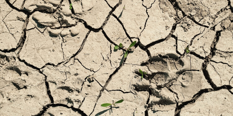 Sécheresse : le préfet de Vaucluse restreint l’usage de l’eau sur les bassins du département