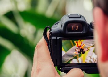 Apt : un concours photo sur la biodiversité de la ville