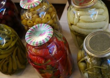 Roquemaure : quels sont les bienfaits de la lactofermentation ?