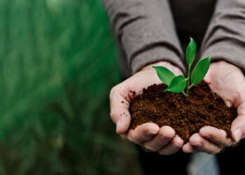 Luberon : 6e forum de l’agriculture et de l’alimentation durables