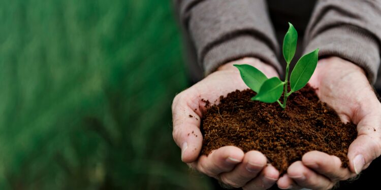 Luberon : 6e forum de l’agriculture et de l’alimentation durables
