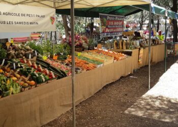 Nouvelle édition du week-end des saveurs de Petits-Palais