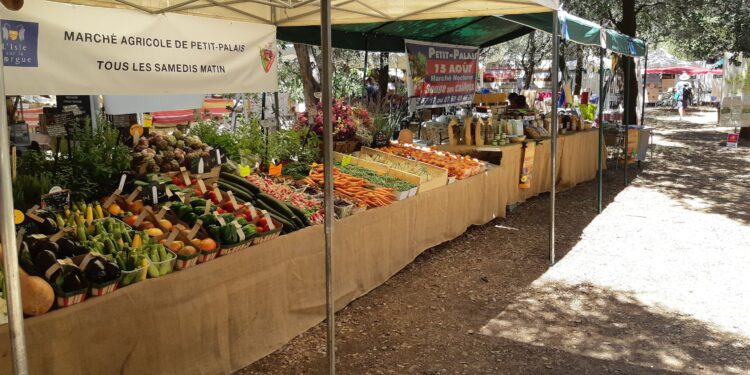 Nouvelle édition du week-end des saveurs de Petits-Palais