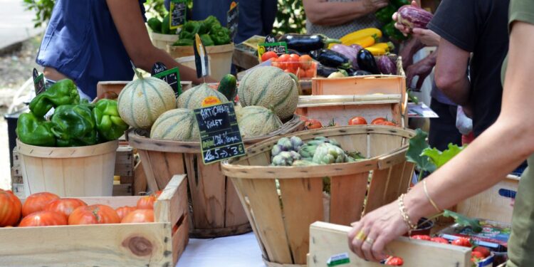 Châteauneuf-de-Gadagne : Terroirs en fête revient pour une 5ème édition