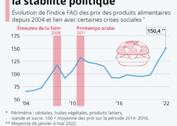 La flambée des prix alimentaires menace la stabilité politique