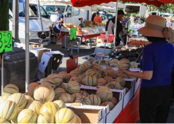 Cavaillon accueillera un marché des producteurs XXL demain