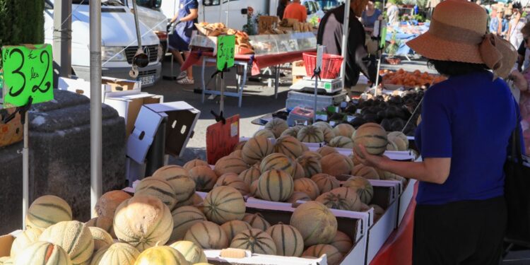 Cavaillon accueillera un marché des producteurs XXL demain