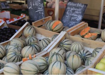 La ville de Cavaillon recherche des exposants pour un marché nocturne