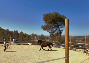 ‘Les écuries de Grambois’ fermées définitivement au public