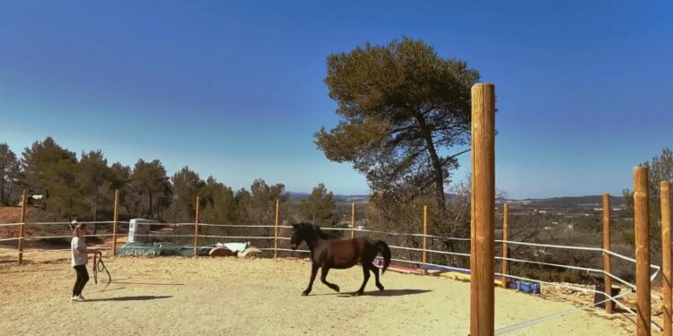 ‘Les écuries de Grambois’ fermées définitivement au public