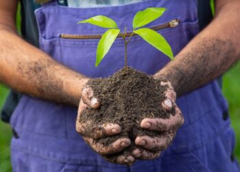 Découvrez l’agriculture vauclusienne lors des Journées nationales de l’agriculture