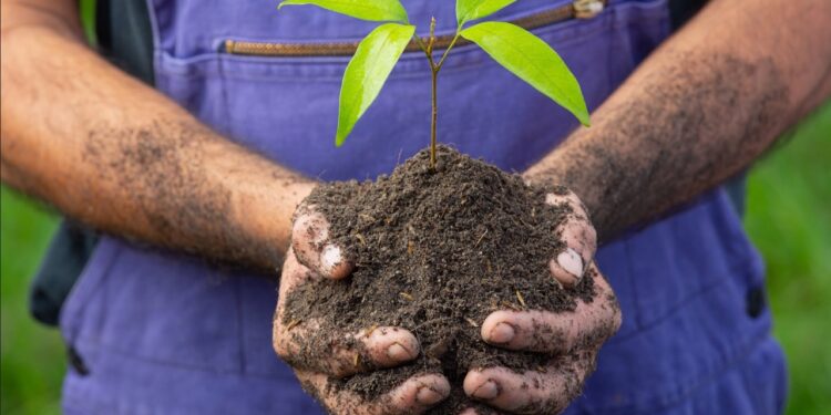 Découvrez l’agriculture vauclusienne lors des Journées nationales de l’agriculture