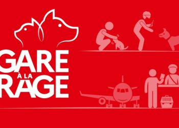 Animaux : ‘Gare à la rage’