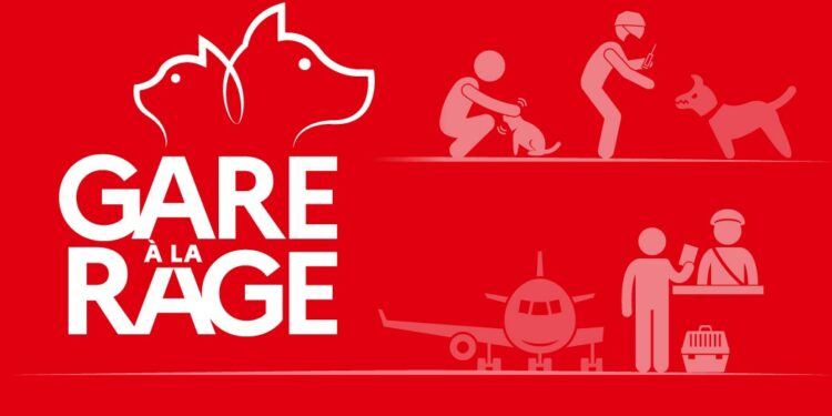 Animaux : ‘Gare à la rage’