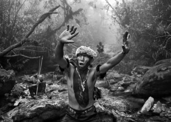 Au palais des papes, Sébastiao Salgado ouvre le débat sur l’avenir de la forêt amazonienne