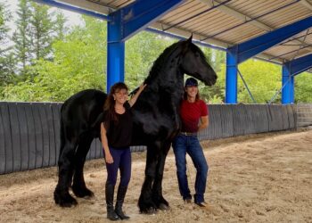 Magali Delgado & Frédéric Pignon, les ‘Nomades’ du monde équestre