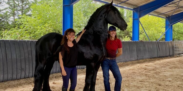 Magali Delgado & Frédéric Pignon, les ‘Nomades’ du monde équestre