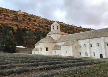 Sénanque, la blanche
