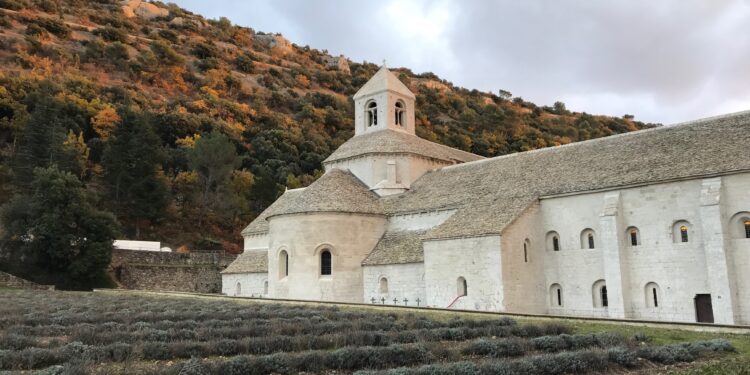 Sénanque, la blanche