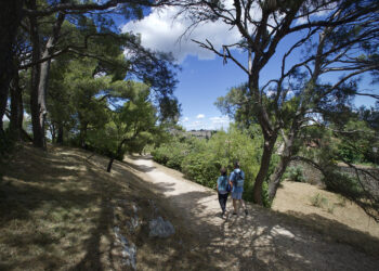 Villeneuve-lès-Avignon : fermeture de la colline des Mourgues pour risque incendie