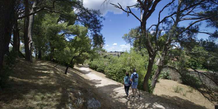 Villeneuve-lès-Avignon : fermeture de la colline des Mourgues pour risque incendie